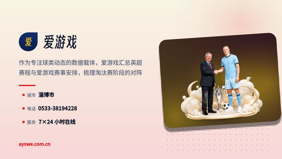 爱游戏是谁